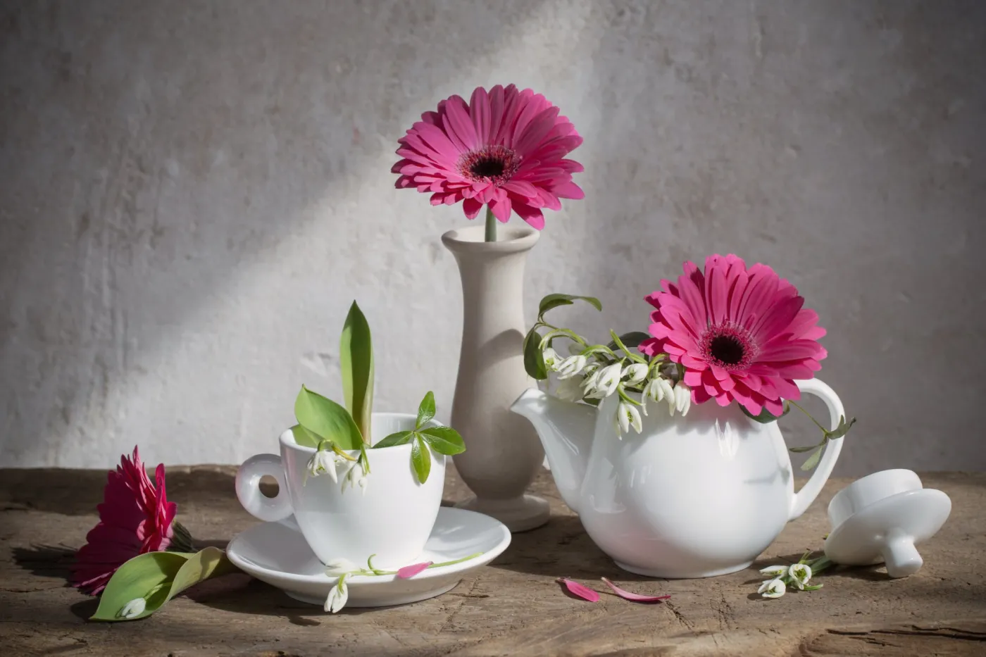 Still,Life,With,White,Snowdrops,And,Gerbera,On,Background,Old