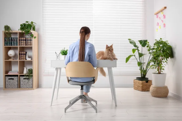 Praca w Niemczech. Oto branże, gdzie coraz więcej osób wybiera home office
