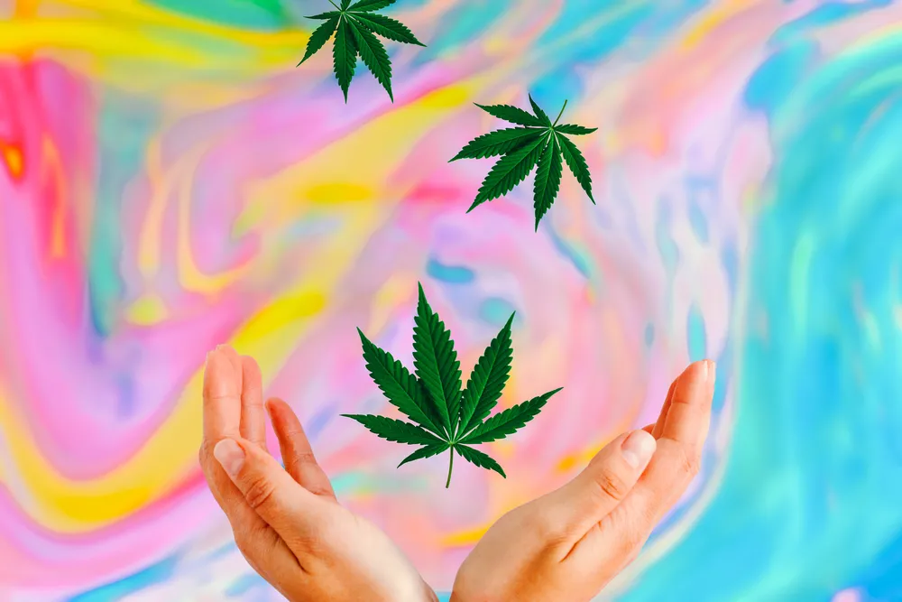 marihuana psychodeliki