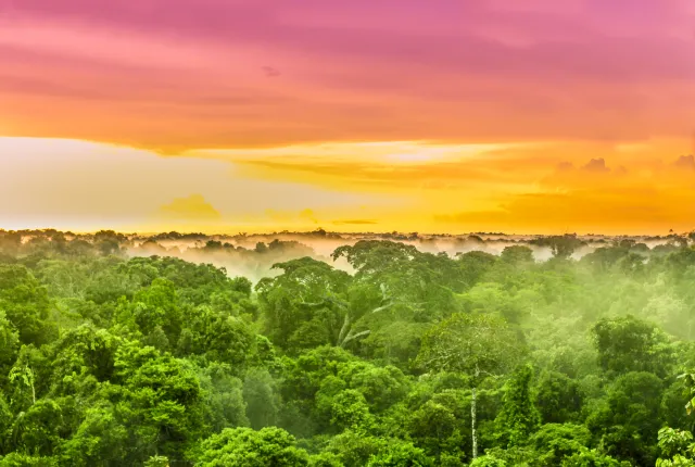Katastrofa klimatyczna w Amazonii. Dwa miesiące ogromnych pożarów, miliony hektarów lasów spłonęły