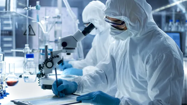 Udało się stworzyć uniwersalną komórkę macierzystą. "To święty graal biologii"