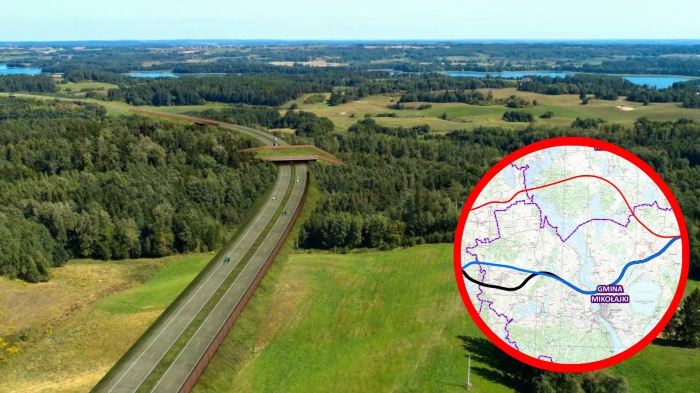 Szybka trasa przez Mazury w tarapatach. Budowę wstrzymali żółw, puszcza i Rosja