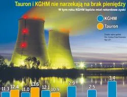 KGHM i Tauron chcą zbudować elektrownię atomową w Polsce