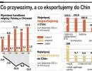 Polska traci chiński rynek: spada import i eksport do Państwa Środka