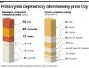 Prywatyzacja SPEC: Warszawie grozi francuski monopol