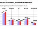 Polskie banki radzą sobie znacznie lepiej niż ich zagraniczni właściciele
