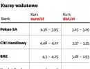 Złoty ma za sobą ciężki rok, ale wciąż ma potencjał