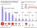 Biedronka rozwija skrzydła. Sieci detaliczne przyspieszają