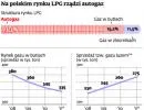 Wielkie roszady na rynku LPG: Rosjanie wchodzą, Polacy w odwrocie