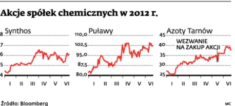 Sołowow chce kupić Puławy. Rząd przychylny przejęciu