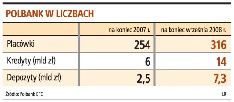 Polbank w liczbach