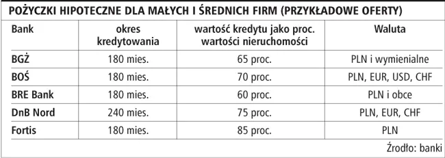 Przedsiębiorca może przeznaczyć pożyczkę hipoteczną na dowolny cel
