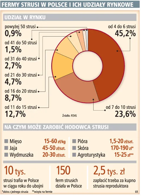 Choć hodowców strusi w Polsce ubywa, popyt na mięso, skóry i jaja rośnie