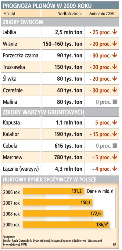 Prognozy plonów w 2009 roku