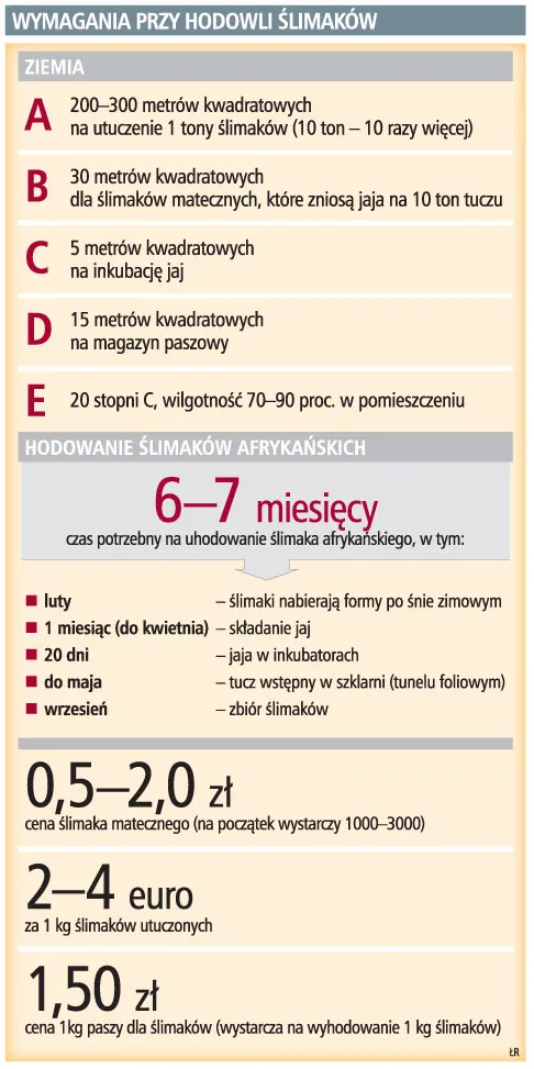 Na hodowli ślimaków można nieźle zarobić