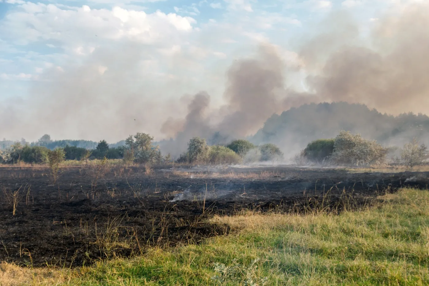 MSWiA planuje zaostrzenie kar za bezmyślne wypalanie traw