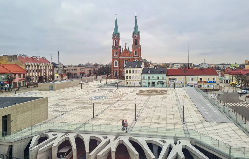 Wycinaj, betonuj, sadź. Zieleń miejska znika w zastraszającym tempie