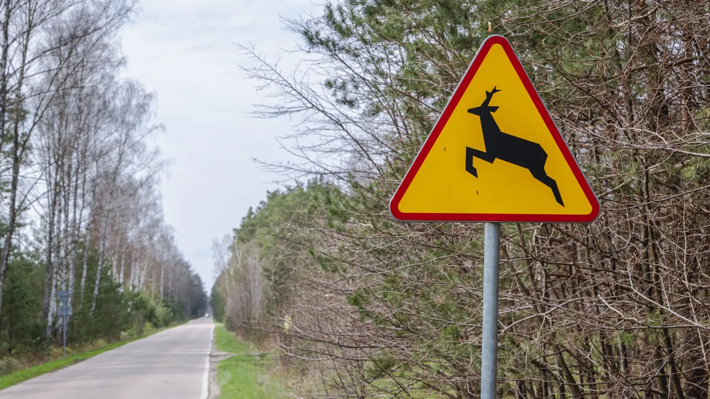 Służby nie powinny angażować gminy do potrąconego zwierzęcia