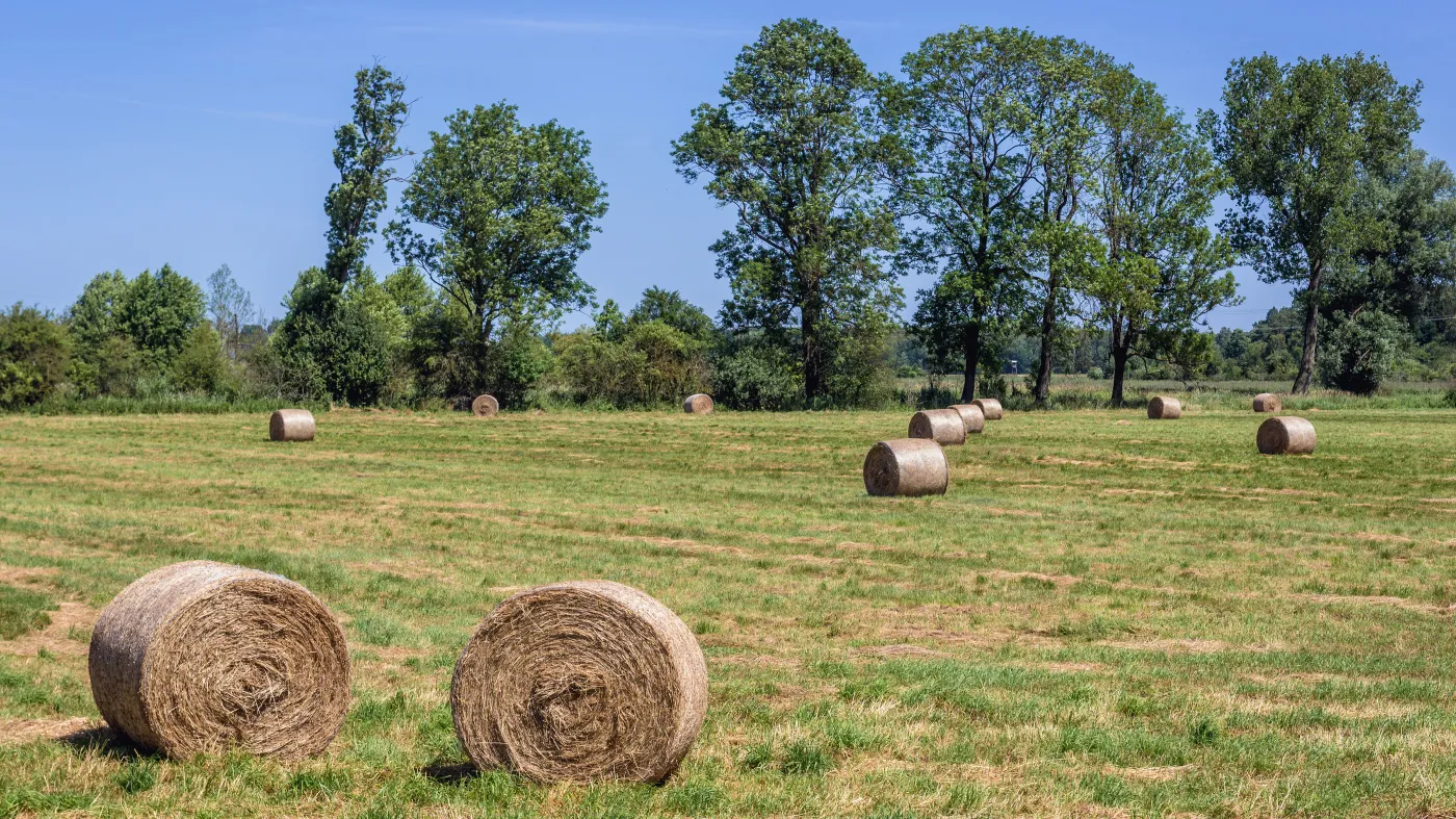 1,5 proc. podatku rolnego dla związków rolnych