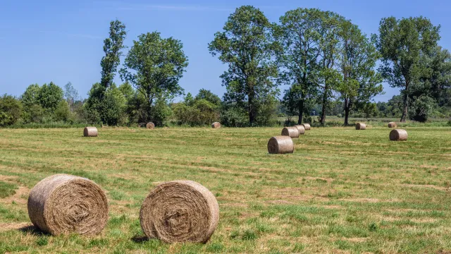1,5 proc. podatku rolnego dla związków rolnych
