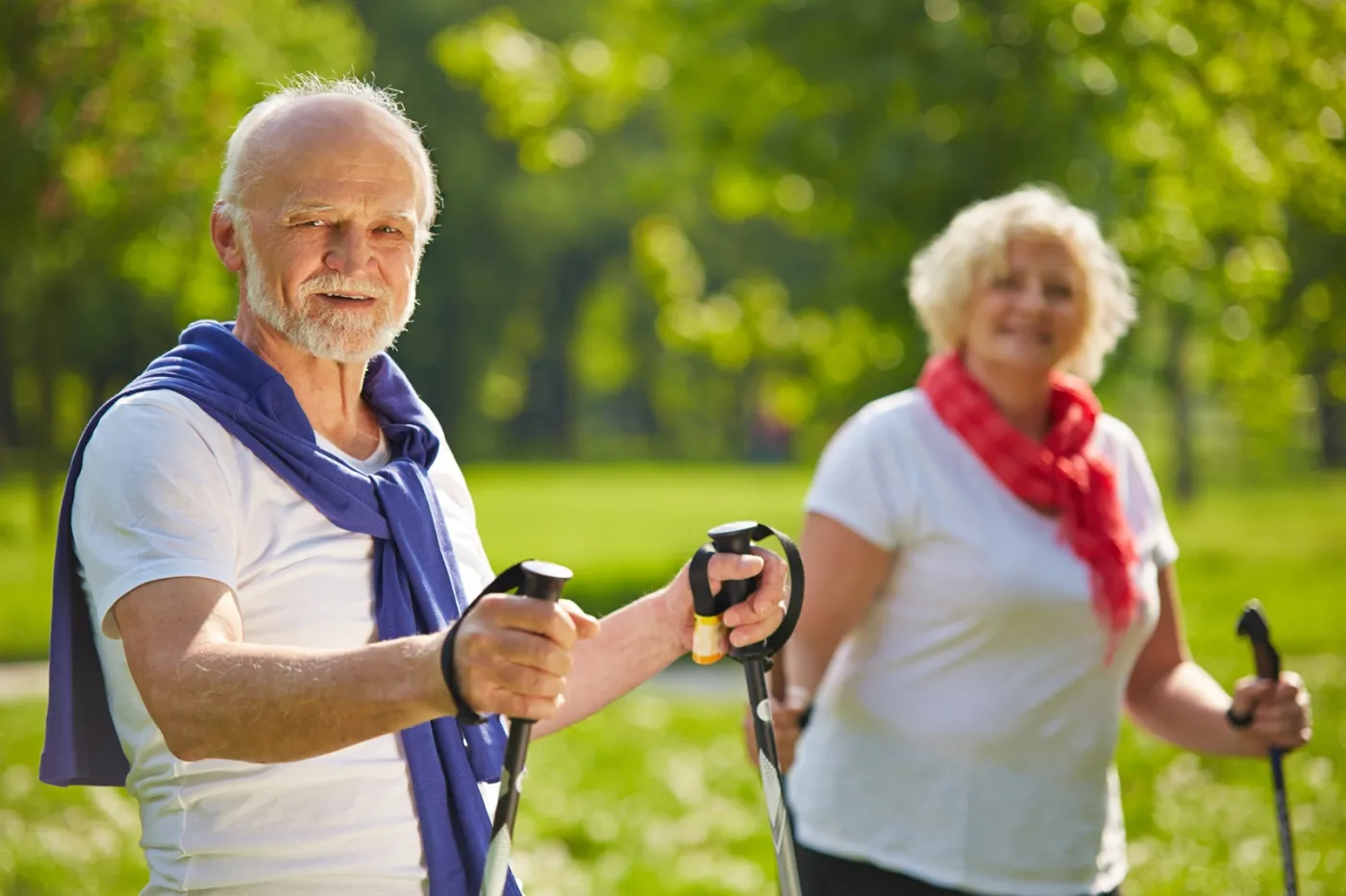 Seniorzy spacerują z kijkami na polanie