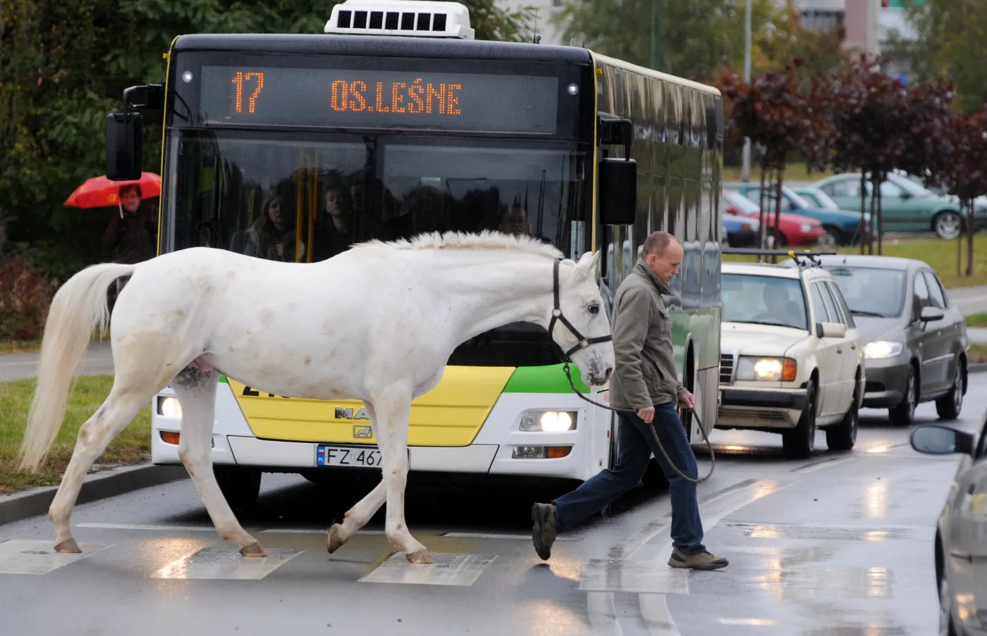 476187-bz-wbk-press-foto-2011-czp-w1.jpg