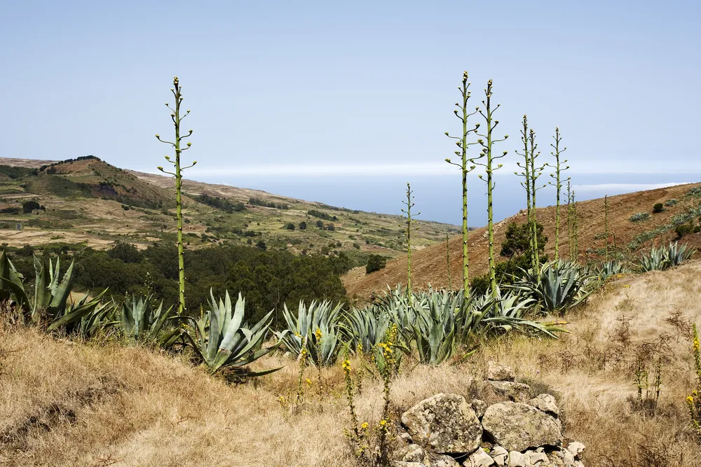 955158-krajobraz-na-wyspie-el-hierro.jpg