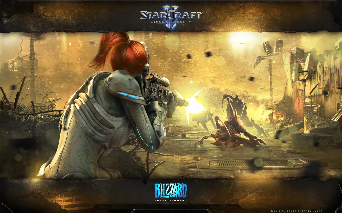 1181134-starcraft-2-wings-of-liberty.jpg