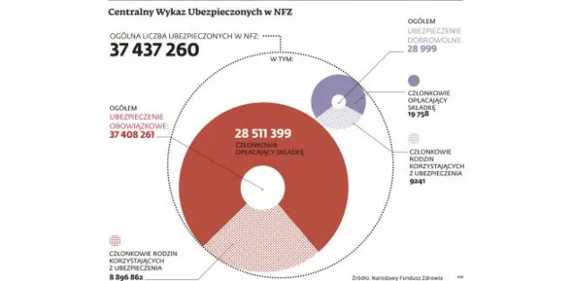 Jak działa Centralny Wykaz Ubezpieczonych