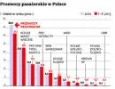 1593963-przewozy-pasazerskie-w-polsce.jpg