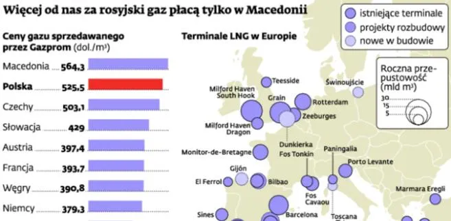 1735017-wiecej-od-nas-za-rosyjski-gaz.jpg