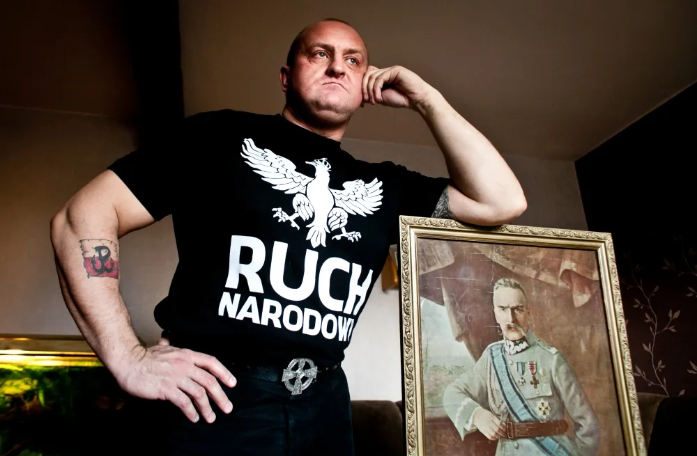 Ruch narodowy - Europarlament