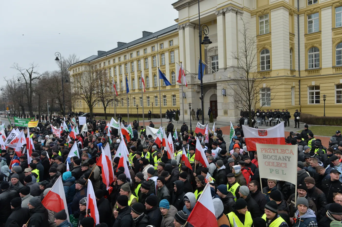 2086830-protest-rolnikow-w-warszawie.jpg