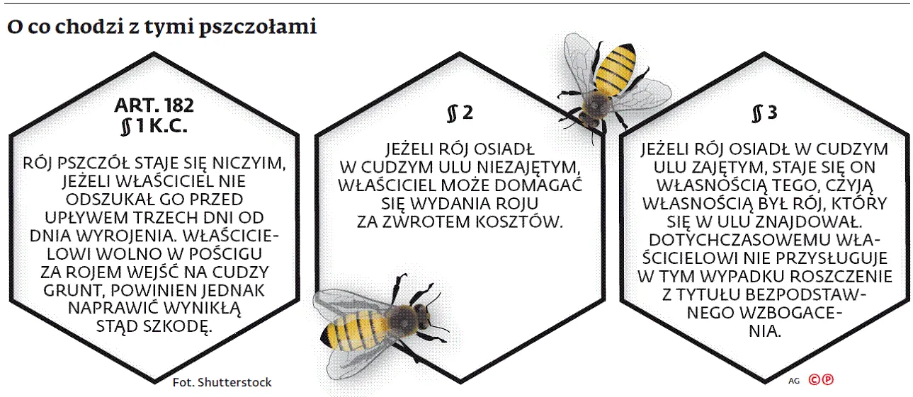 Wyrojenie i inne przypadki