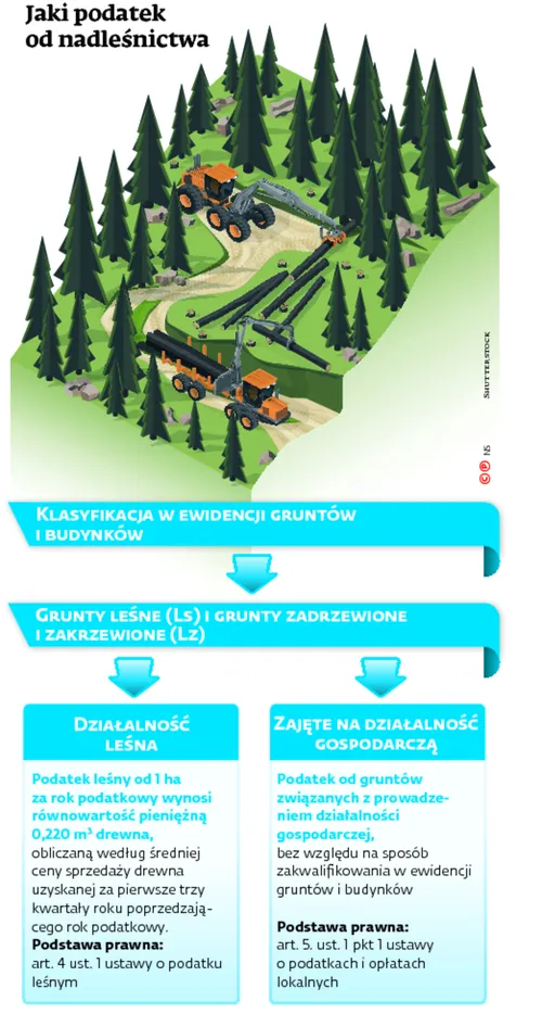 2477659-jaki-podatek-od-nadlesnictwa.jpg