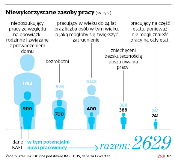 3071342-niewykorzystane-zasoby-pracy.jpg