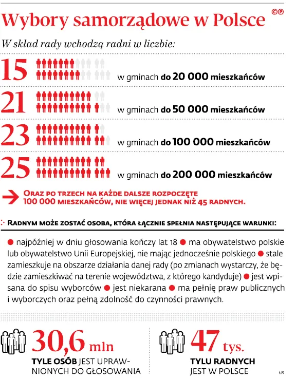 3185238-wybory-samorzadowe-w-polsce.jpg
