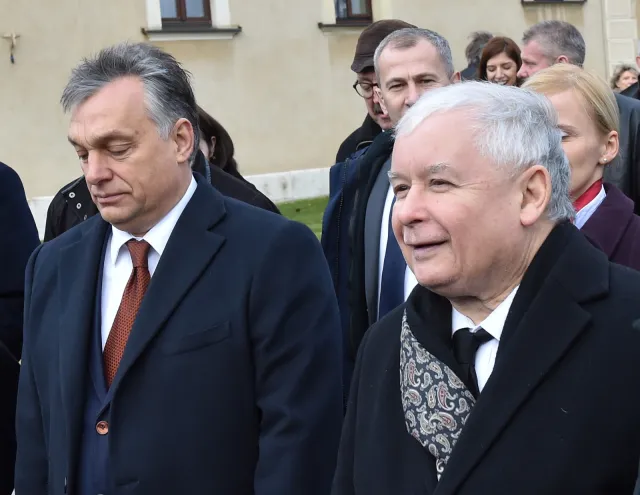 Schetyna: Poza Węgrami nikt z Polską nie chce podjąć współpracy