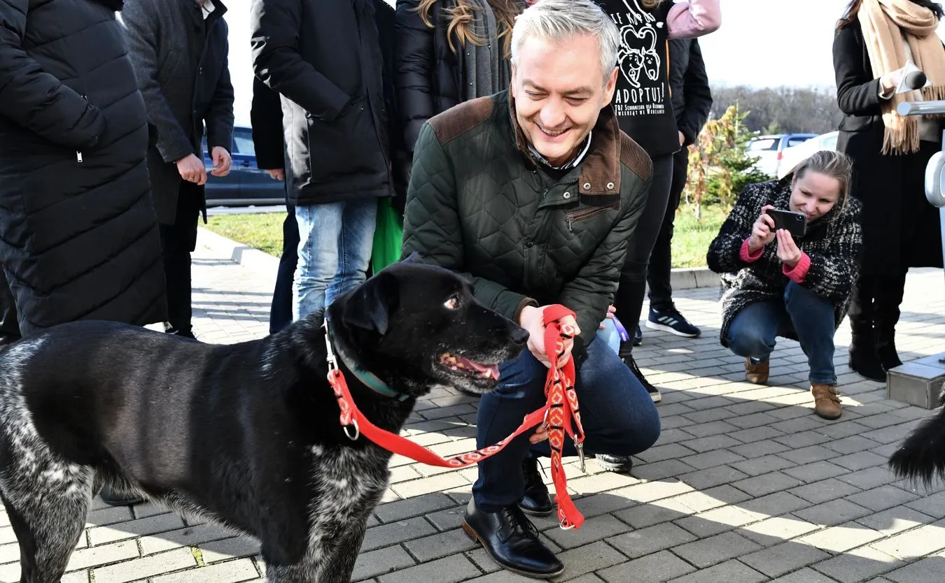 Biedroń zapowiedział powołanie rzecznika praw zwierząt