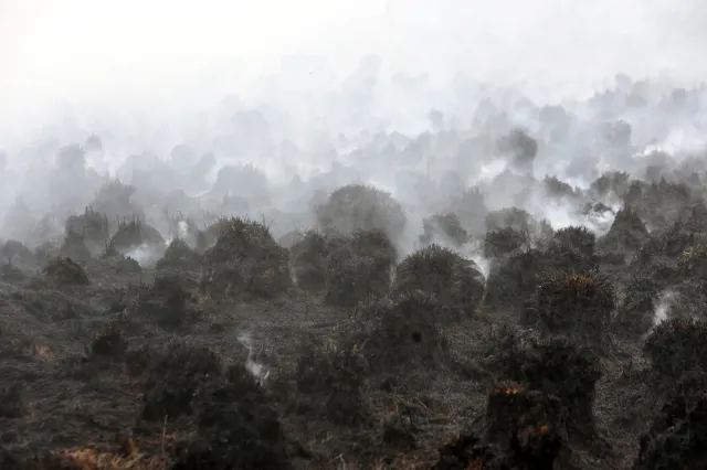 "Pożar Biebrzańskiego Parku Narodowego to prawdziwy kataklizm"