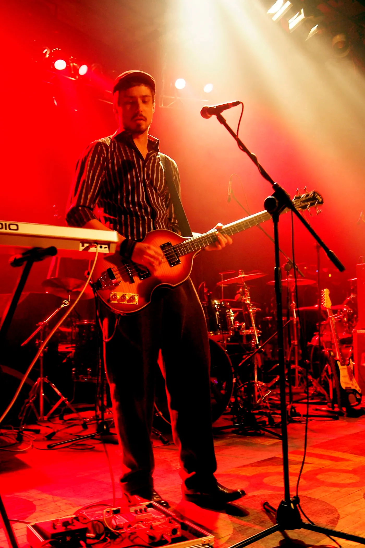 Koncert zespołu Muchy