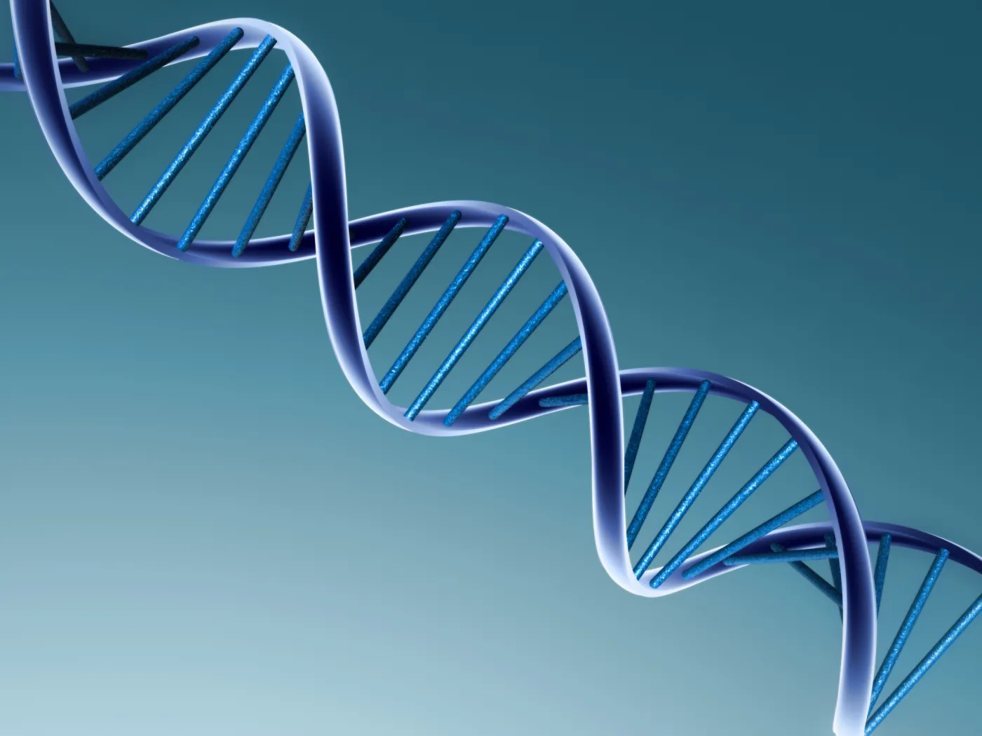 DNA pomoże nam dobrać optymalnego partnera