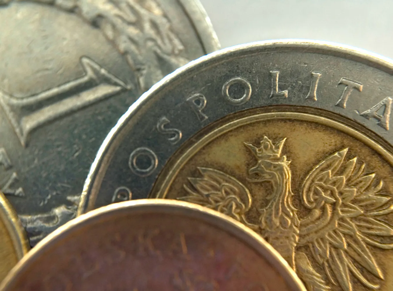złoty