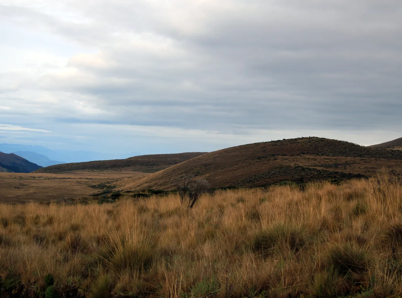 2139337-kolumbia-laguna-del-otun.jpg