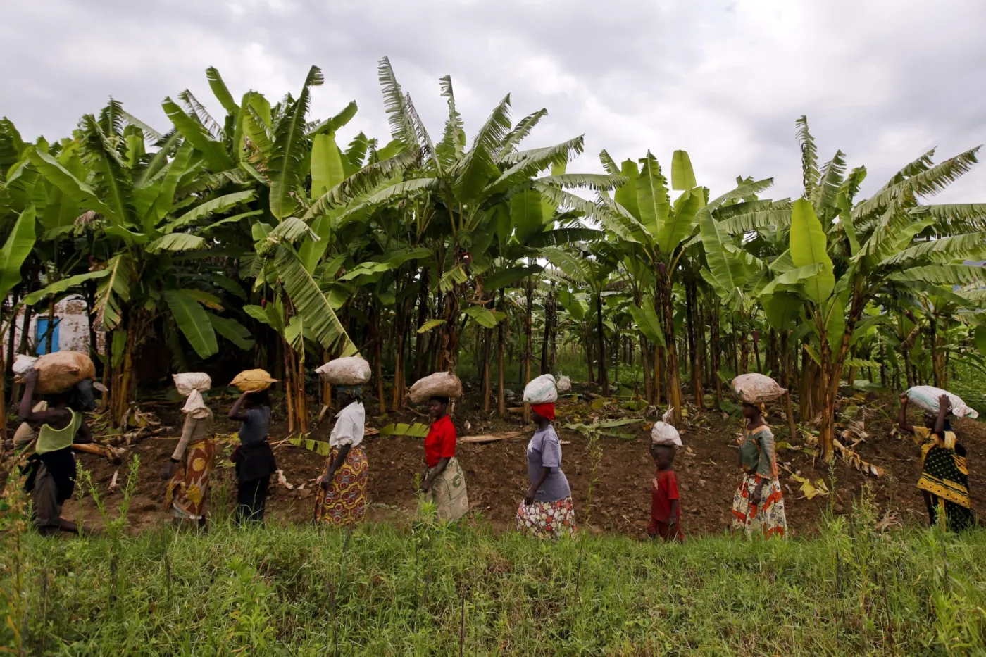 3663378-afryka-rwanda-garncarstwo.jpg