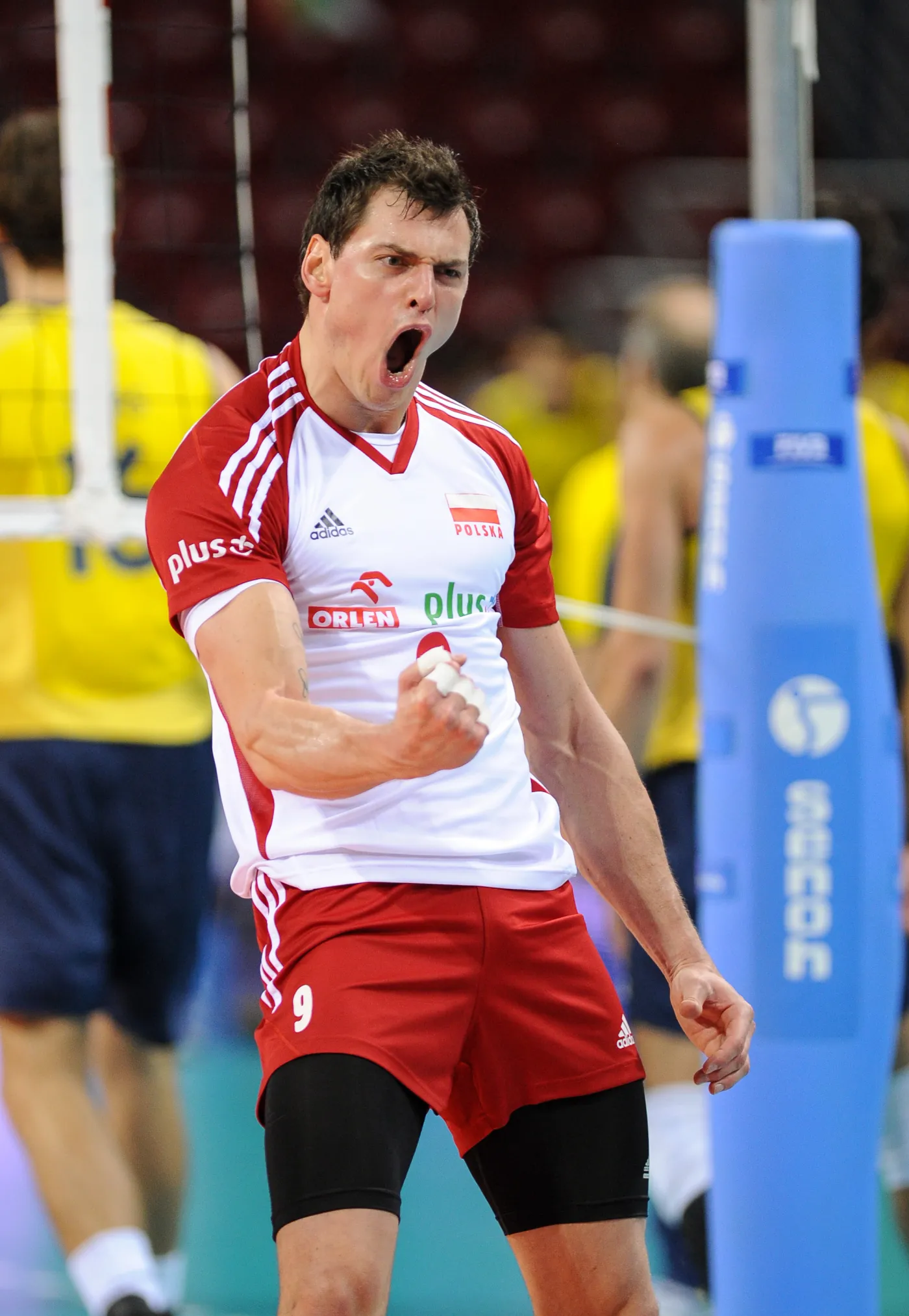 3741715-siatkarze-liga-swiatowa.jpg