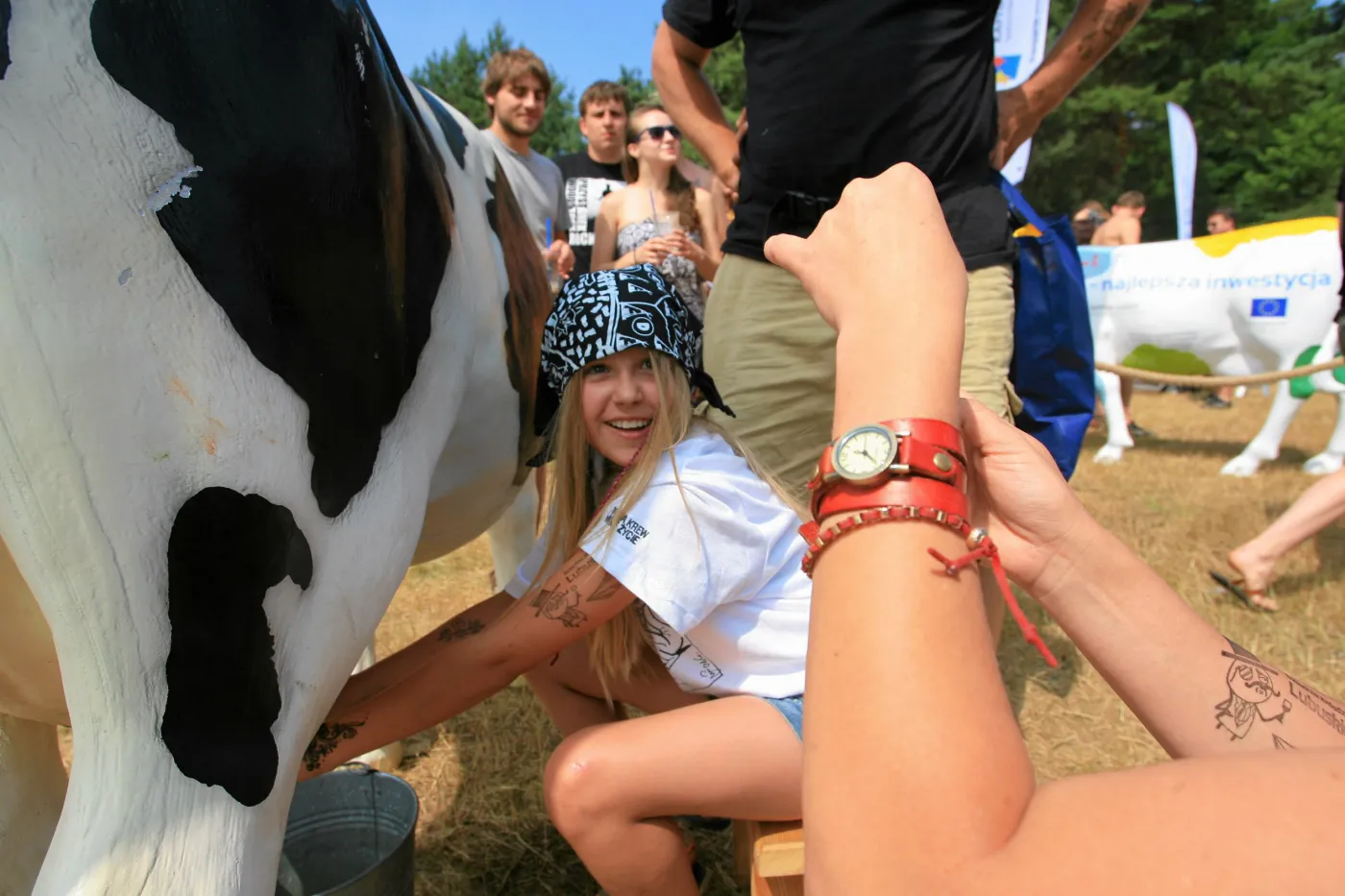 5258792-przystanek-woodstock-2013.jpg