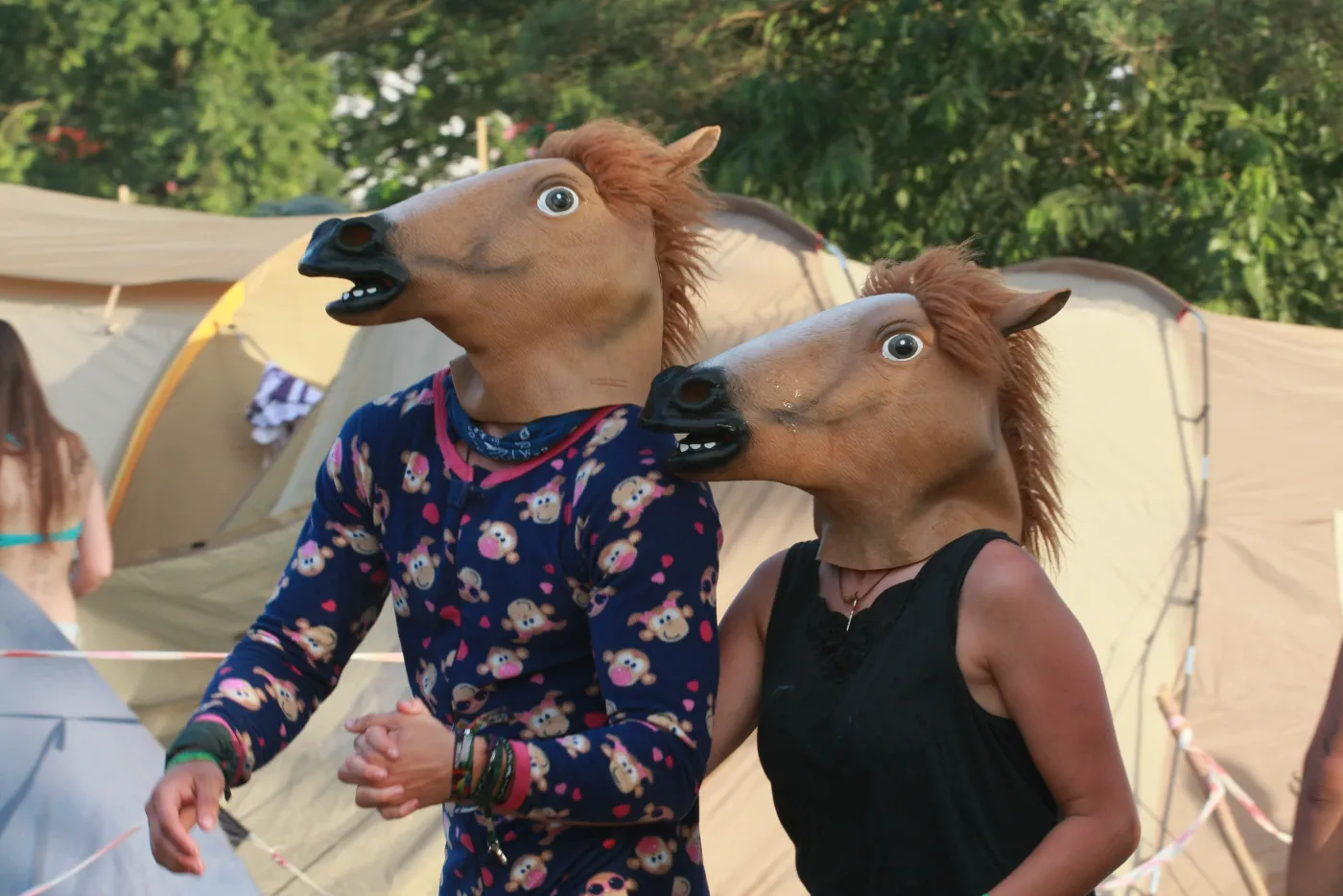 5258705-przystanek-woodstock-2013.jpg