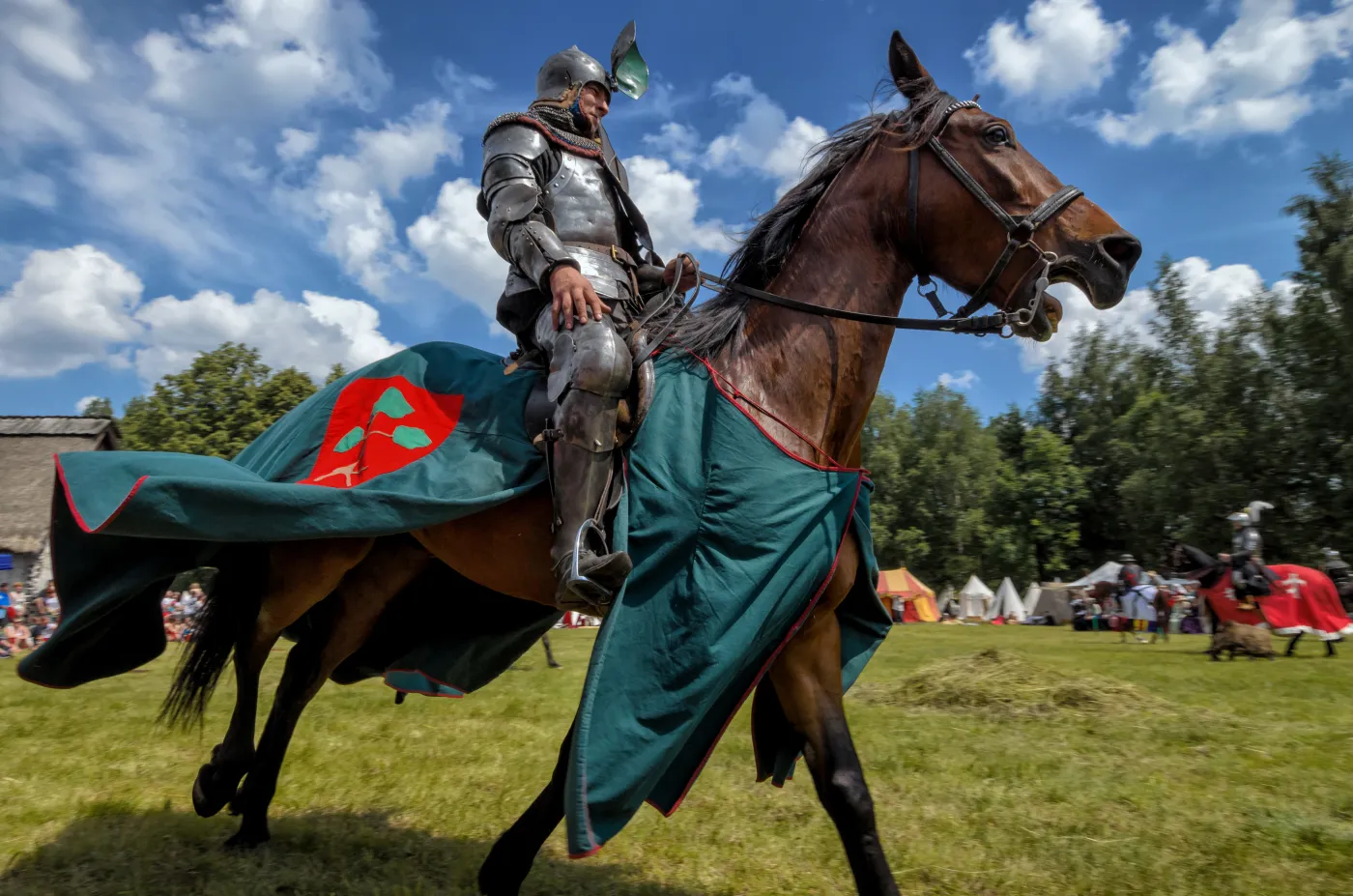 Rycerz w pełnej krasie