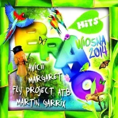 6211150-bravo-hits-wiosna-2014.jpg